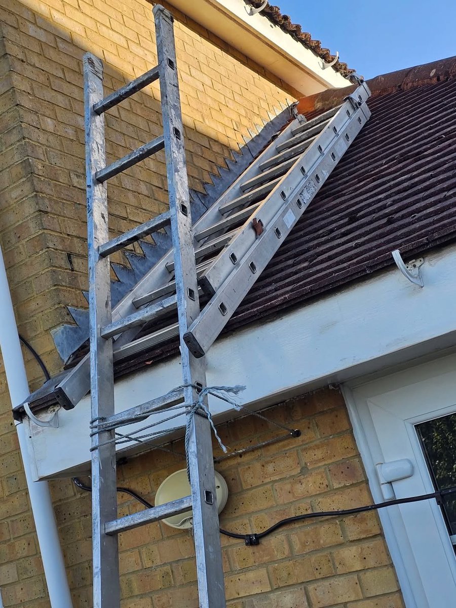 DecoratorsU's tweet image. Safe as houses

#roof #decorator #ladder