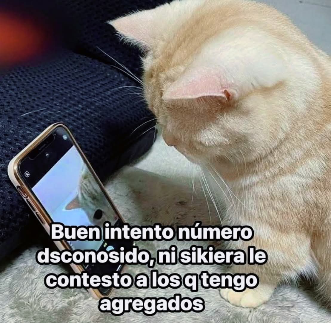 M O T I V A N D O T E (@m0tivand0te) on Twitter photo 