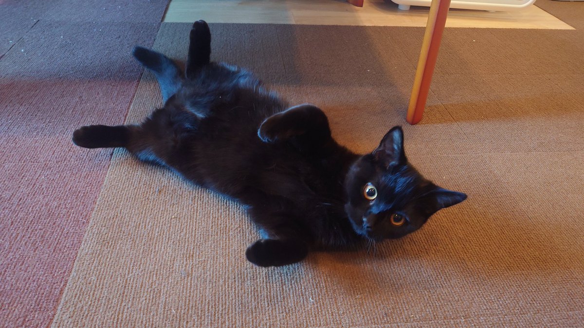 映画見てたらかわいいすぎしぬ