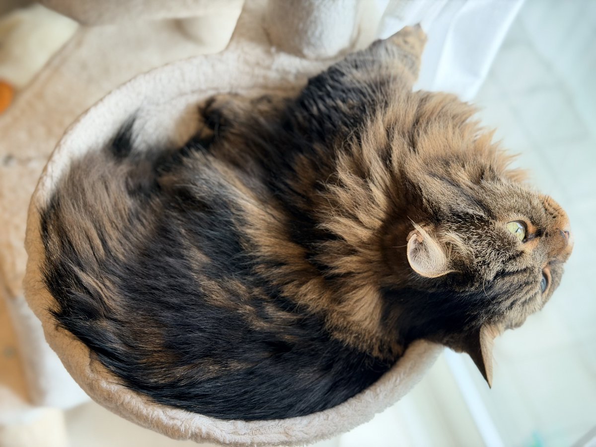 今日は寒そうね
おはようございます🌱