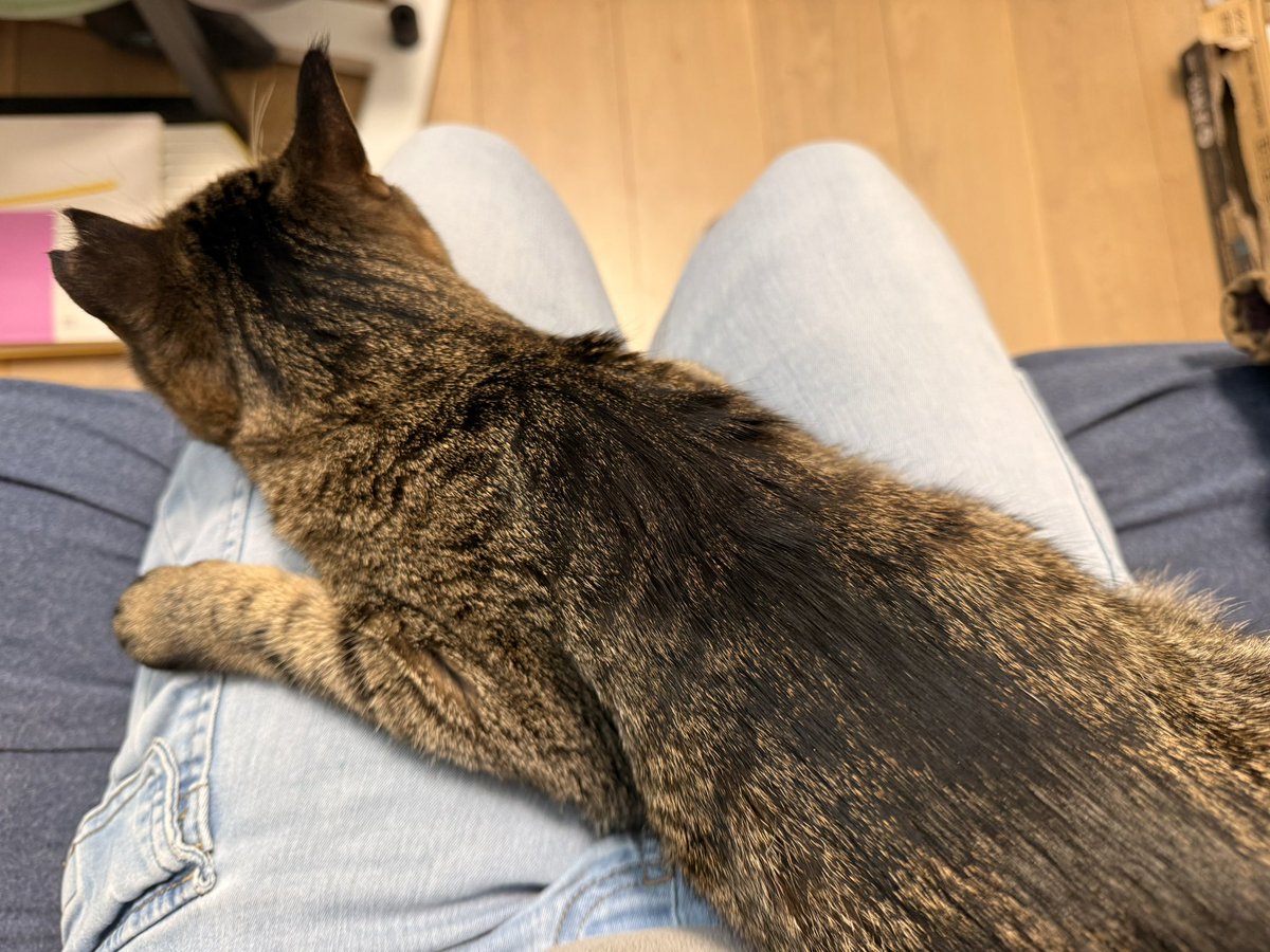 たろいも (@na_eviimotaro) / Posts / X