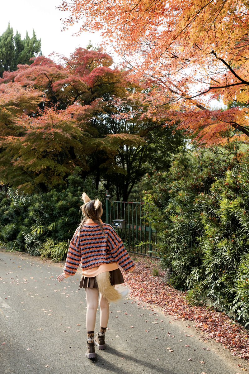 みやむ (@miya_phot0_) / Posts / X