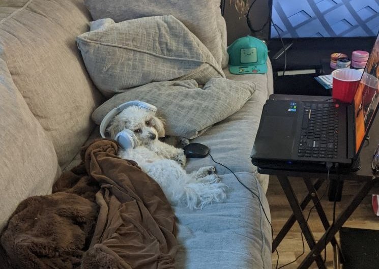 Melissa Dube | Las Vegas Realtor🏘️ tweet media