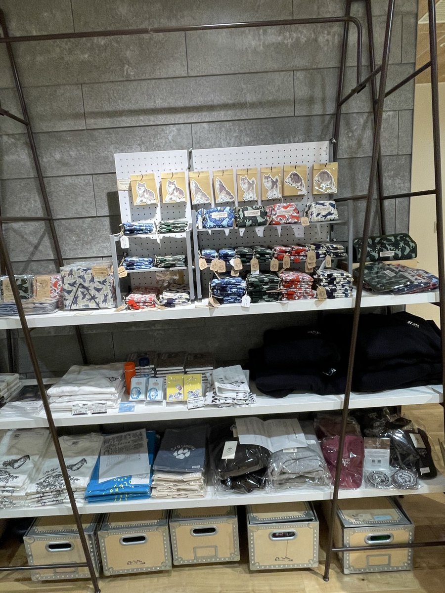 JwolfA's tweet photo. 「オオカミの森」本日開催！！　阪神百貨店梅田本店2Ｆ
たくさんのオオカミたちがあなたを待っています
心の中にオオカミを遊ばせよう！ https://t.co/5yZon3tf3N