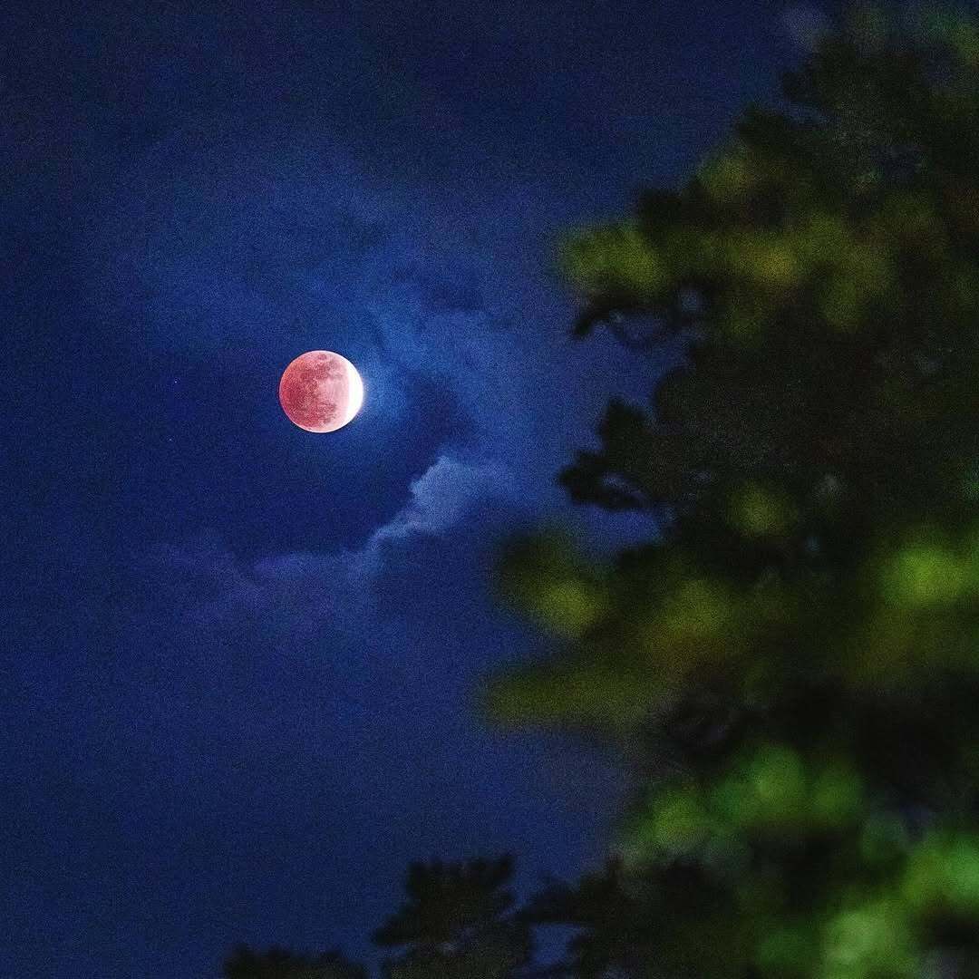TheGuamGuide's tweet image. We just HAD to share this one, what a cool capture of the Blood Moon from 2021! 

shot by @patrick.camacho

Got a cool shot of the skies at night? We&apos;d love to see it! Tag us @theguamguide! 

#guam #guamguide #bloodmoon #lunar #guahan #patrickcamacho
