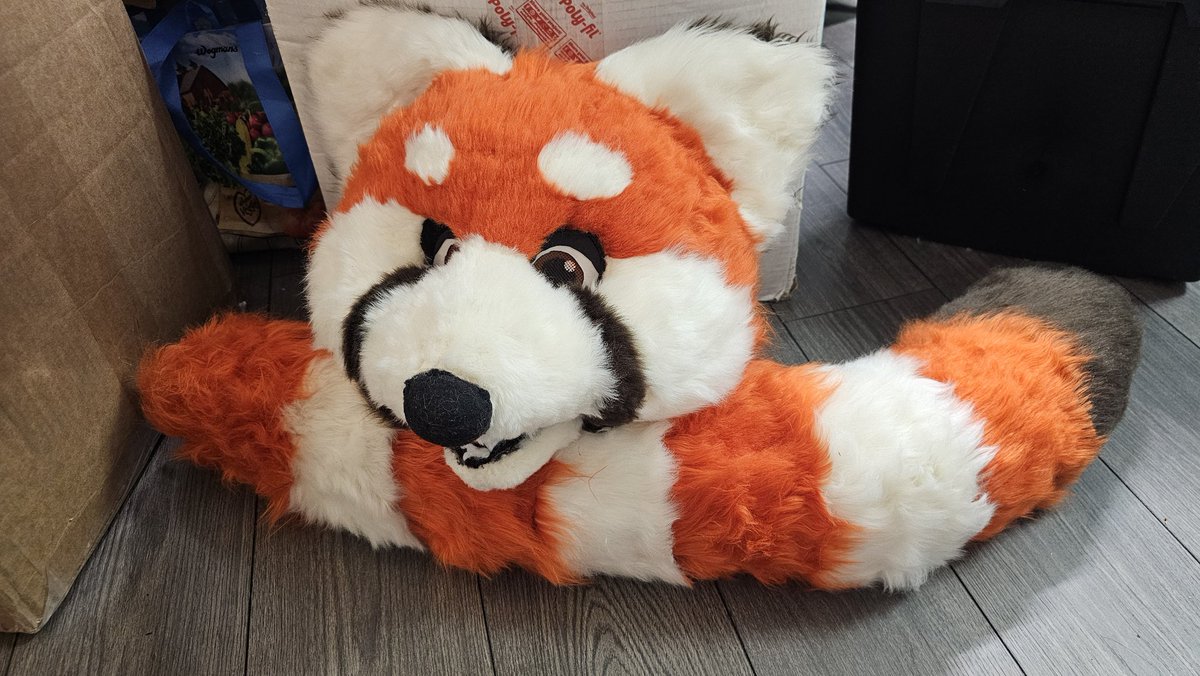Is anyone missing this fursuit? Found at an estate sale near Nazareth PA, it is safe in my possession! If you are the owner of this suit YOU MUST PROVIDE PROOF OF OWNERSHIP OR PROOF THAT YOU MADE THIS SUIT.  #lostfursuit #stolenfursuit #missingfursuit
