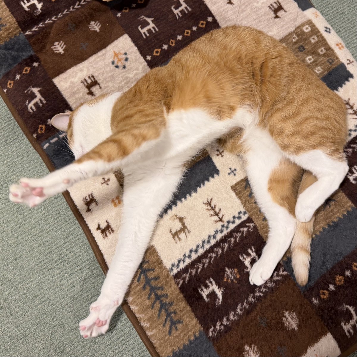 kumatea14's tweet image. 