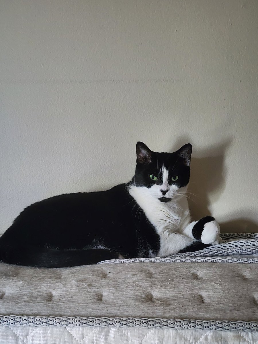 gofundme.com/f/donate-to-sa…