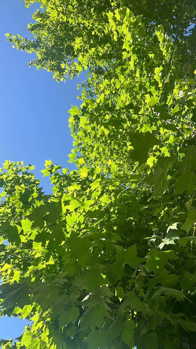 santygegen's tweet photo. Many users have told me in the last weeks how the TestFlight app is making them better business owners.

Solid win for the @Lebenmaster iOS app https://t.co/vlRO2PsqTO