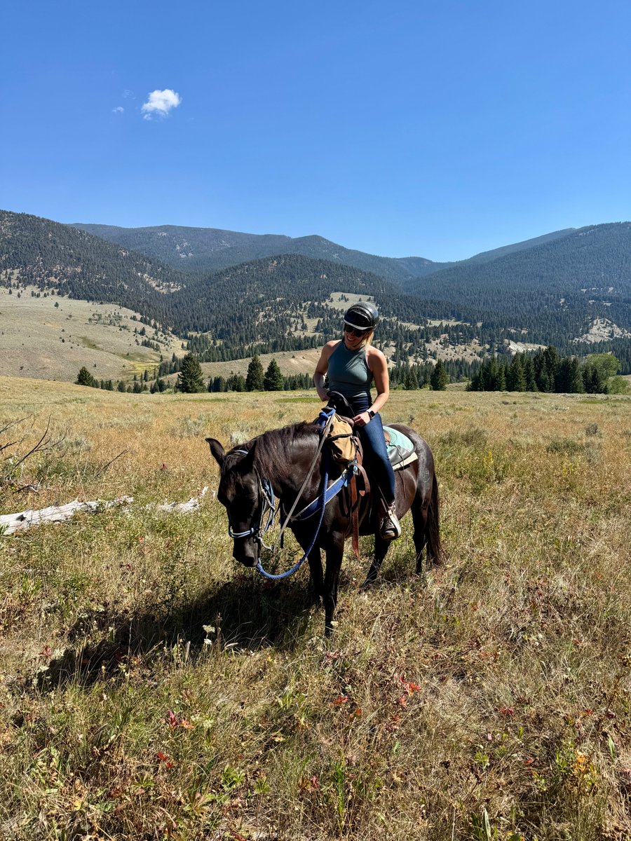 Rachel Rudwall tweet media