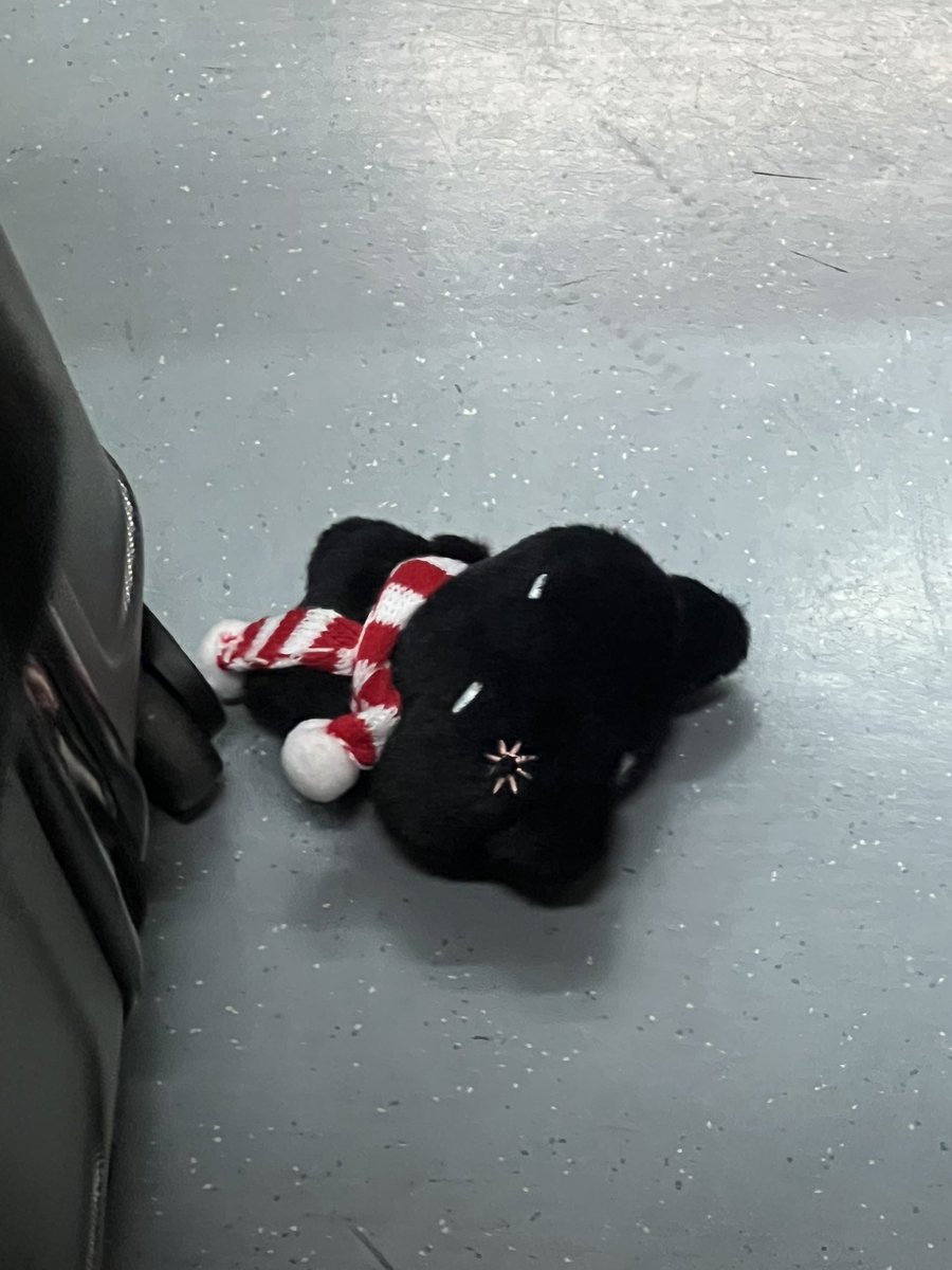 fine_rma's tweet photo. 혹시 7호선 검정고양이 (?) 인형��어버리신분 
강남구청역 4-1플랫폼 앞 의자앞에 두었으니 찾아가세요. https://t.co/xrLJiWR8mD