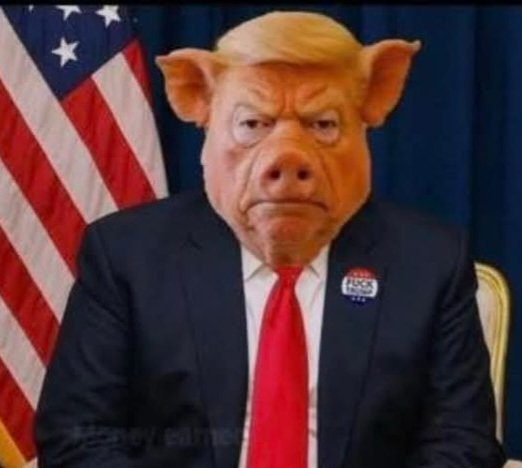 Roshan_Rinaldi's tweet image. Trump faces criticism for referring to female Bloomberg reporter as ‘piggy’

Critics accuse the US president of trying to ‘shut women journalists up’ with ‘demeaning language.’

theguardian.com/us-news/2025/n…