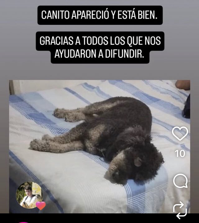 tu mamá tweet media