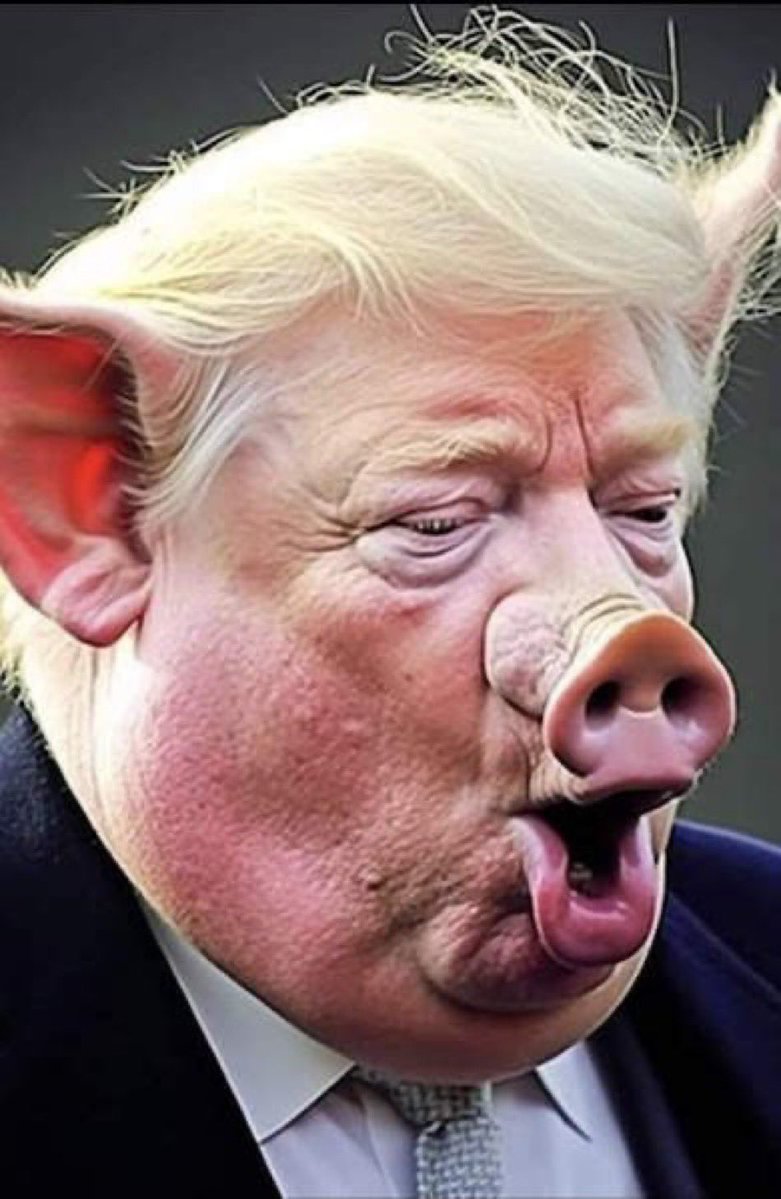 aintscarylarry's tweet image. Hey trump! Quiet, piggy.
