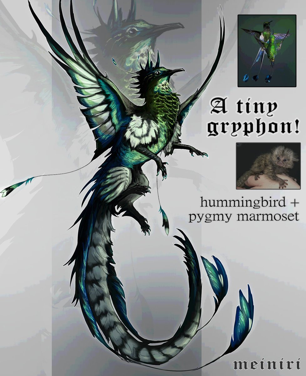 meiniri3's tweet image. 🍃 a tiny gryphon! ~   open!  auction adopt

🔅info in the replies!