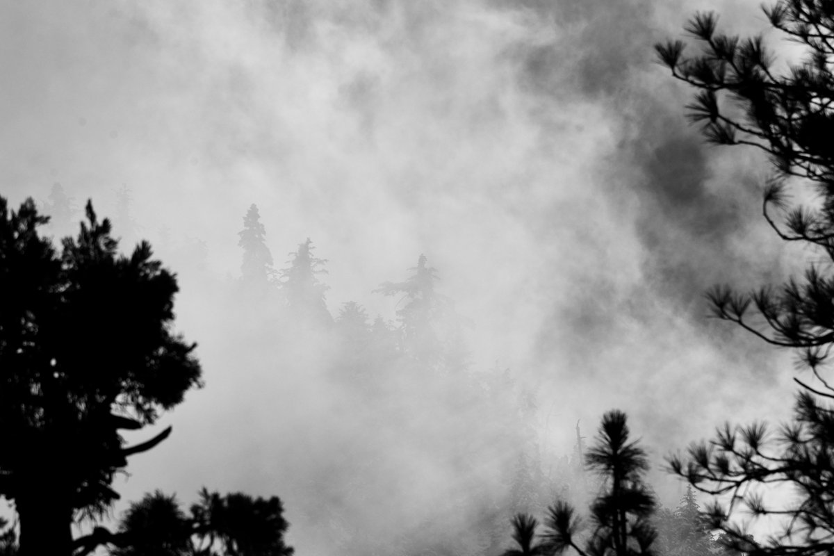 The giants peeking through the fog.