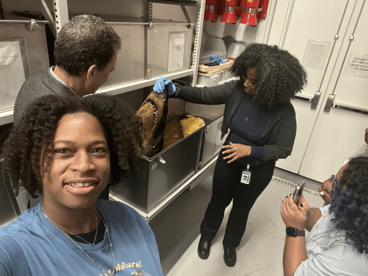 Black in Natural History Museums tweet media