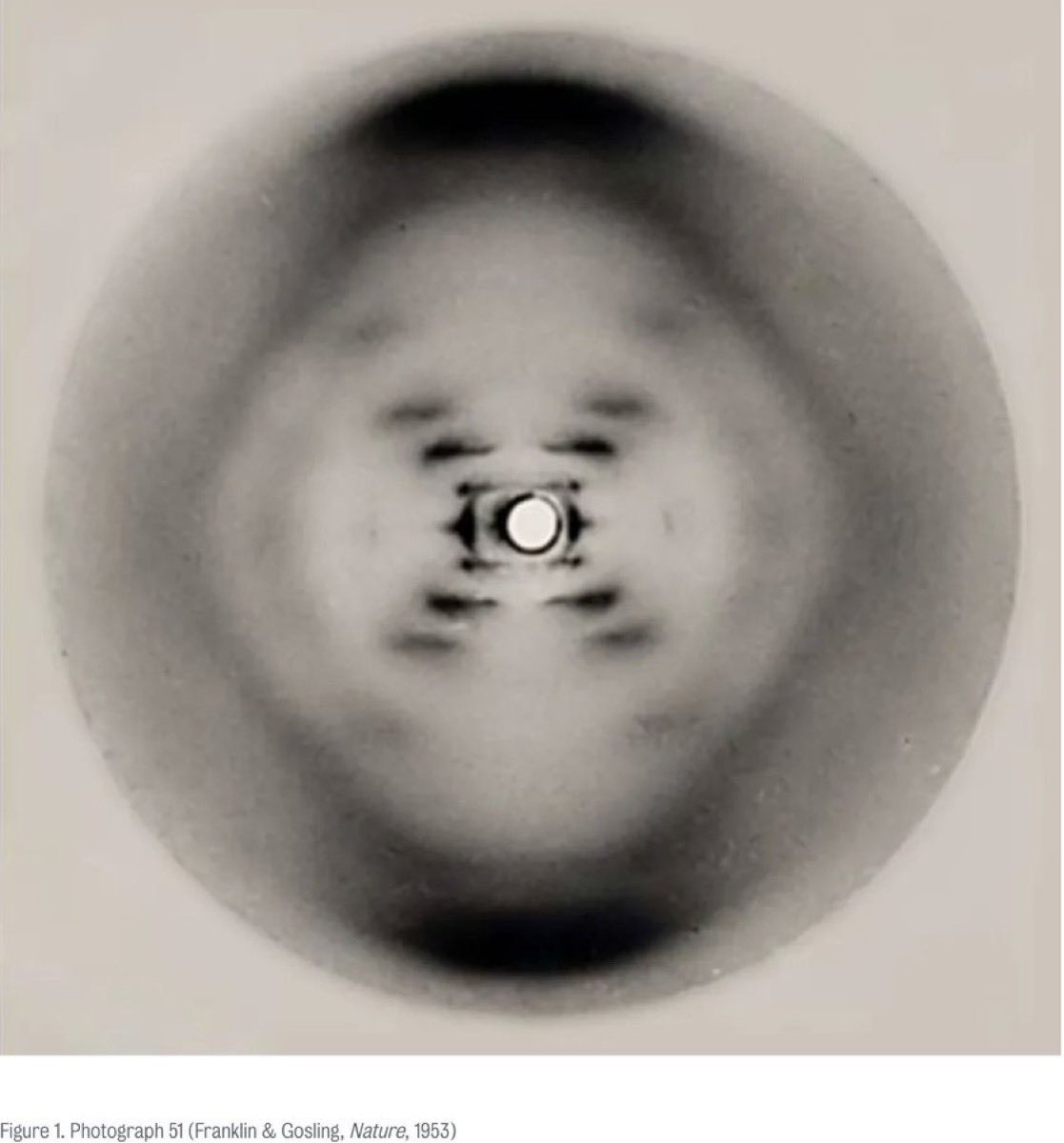 _DrjackkruseBTC's tweet image. The weak force interacts with particles based on their &quot;handedness&quot; (helicity), preferring certain orientations over their mirror images. In atoms, this causes a tiny amount of mixing between electron orbitals of opposite parity (e.g., s and p orbitals).