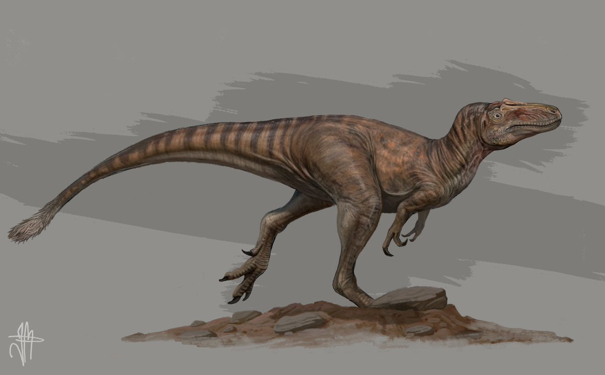 N. lethaeus.

Simple art, for practice.