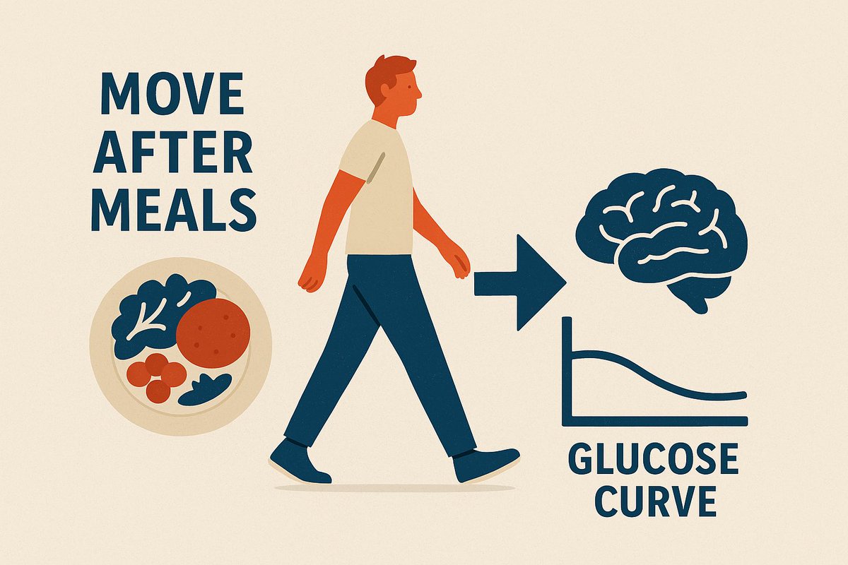 Try this one change tomorrow: move for 10 minutes after each meal. It improves glucose handling, reduces post-meal spikes and supports cognitive resilience. Three short walks beat one long one for metabolic stability.
#Longevity #MetabolicHealth