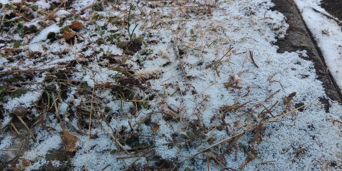 dartalpha's tweet image. 異世界に来てしまった…