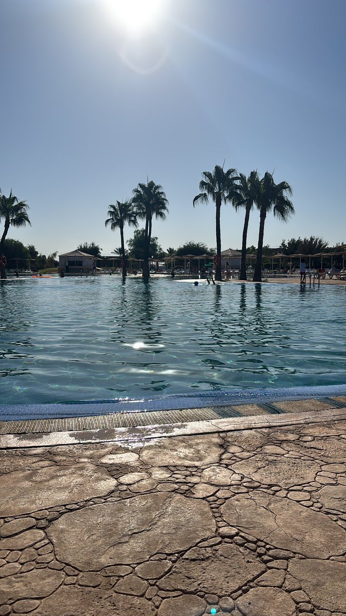 ecomsamguy's tweet image. My advice?

You’ve got a massively powerful tool in your hand. 

Learn how to use it.