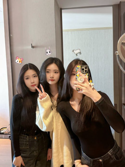 风吹萤火 tweet media