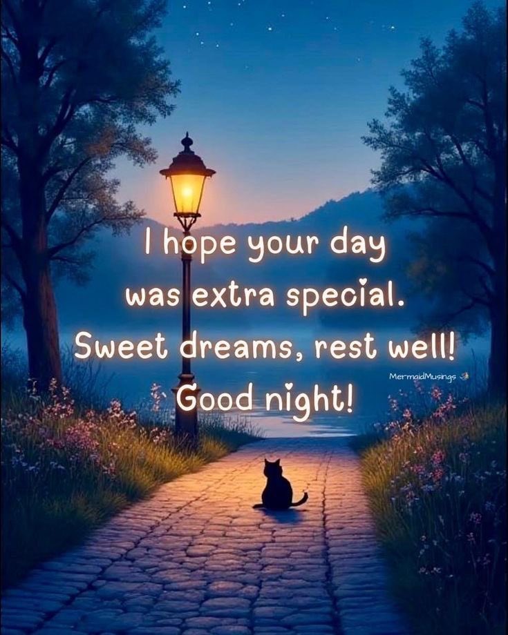 GiGiTX214's tweet image. Good Night, X. 
Sweet dreams. 🙏🏼🙏🏼