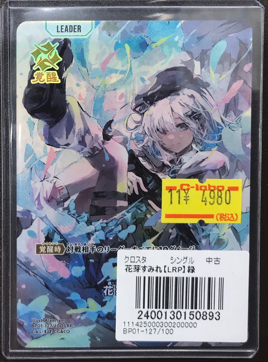 クロスタ販売情報】 花芽すみれ【LRP】 入荷しました！ お買い求めは