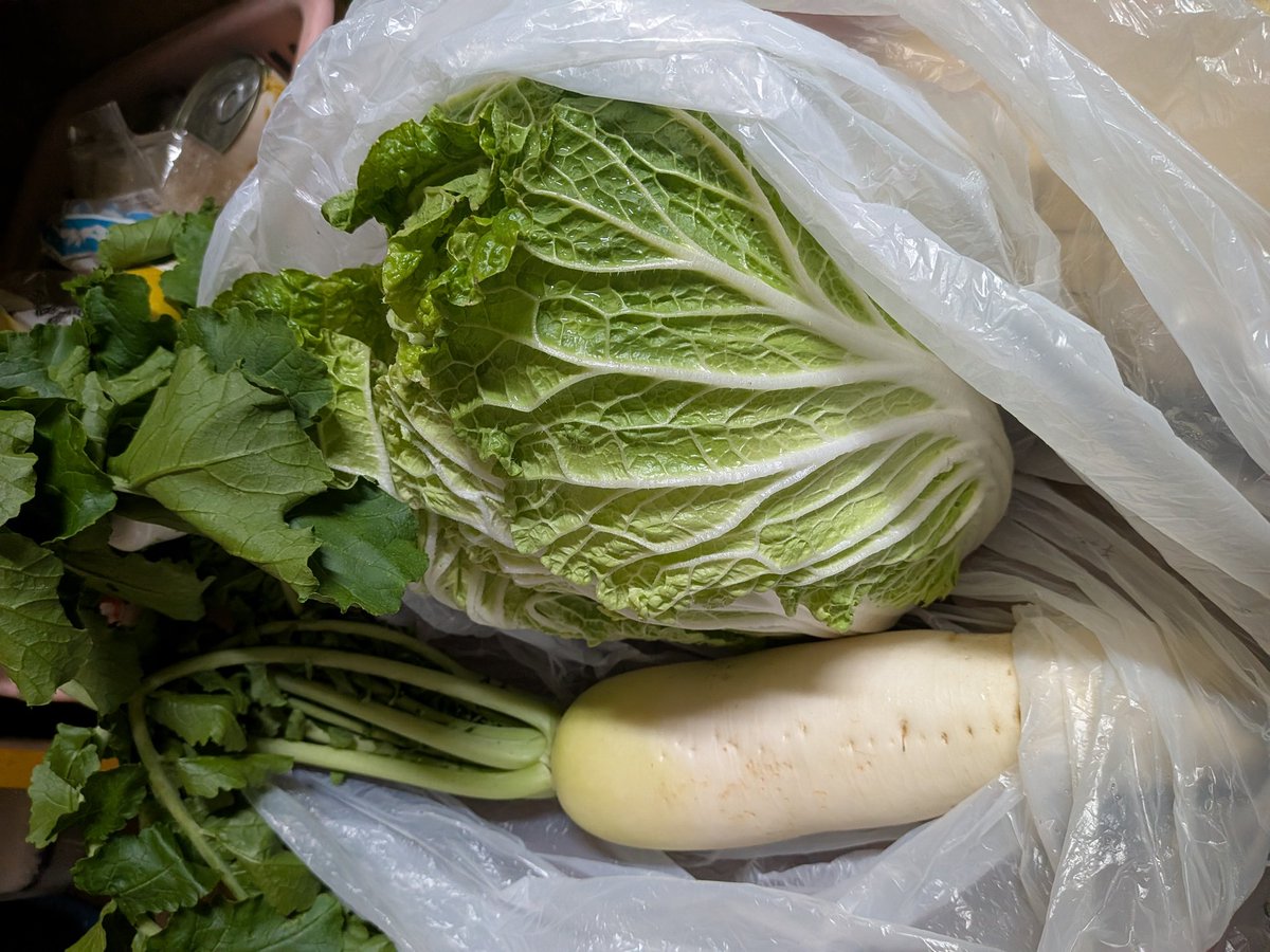 吉ミ*🌱《きちみ*》 (@kichimii443) on X