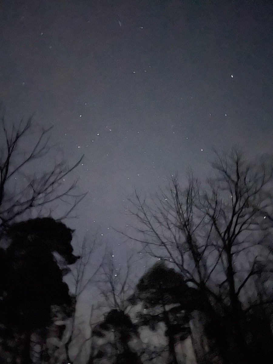 “There is a time for many words, and there is also a time for sleep.”

- Homer, The Odyssey