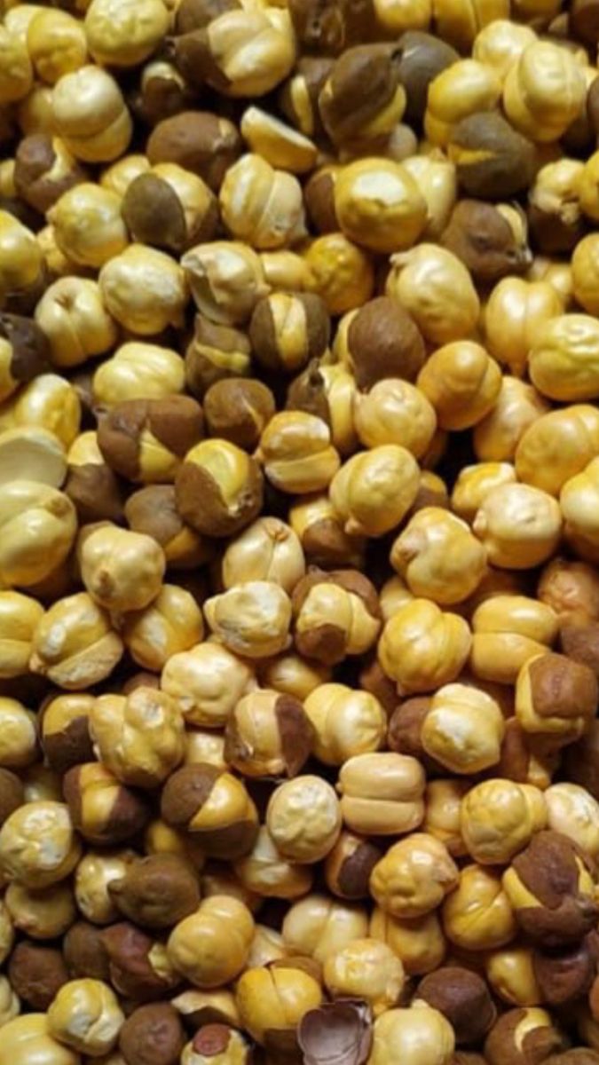 Let's confuse burgers 🍔😂