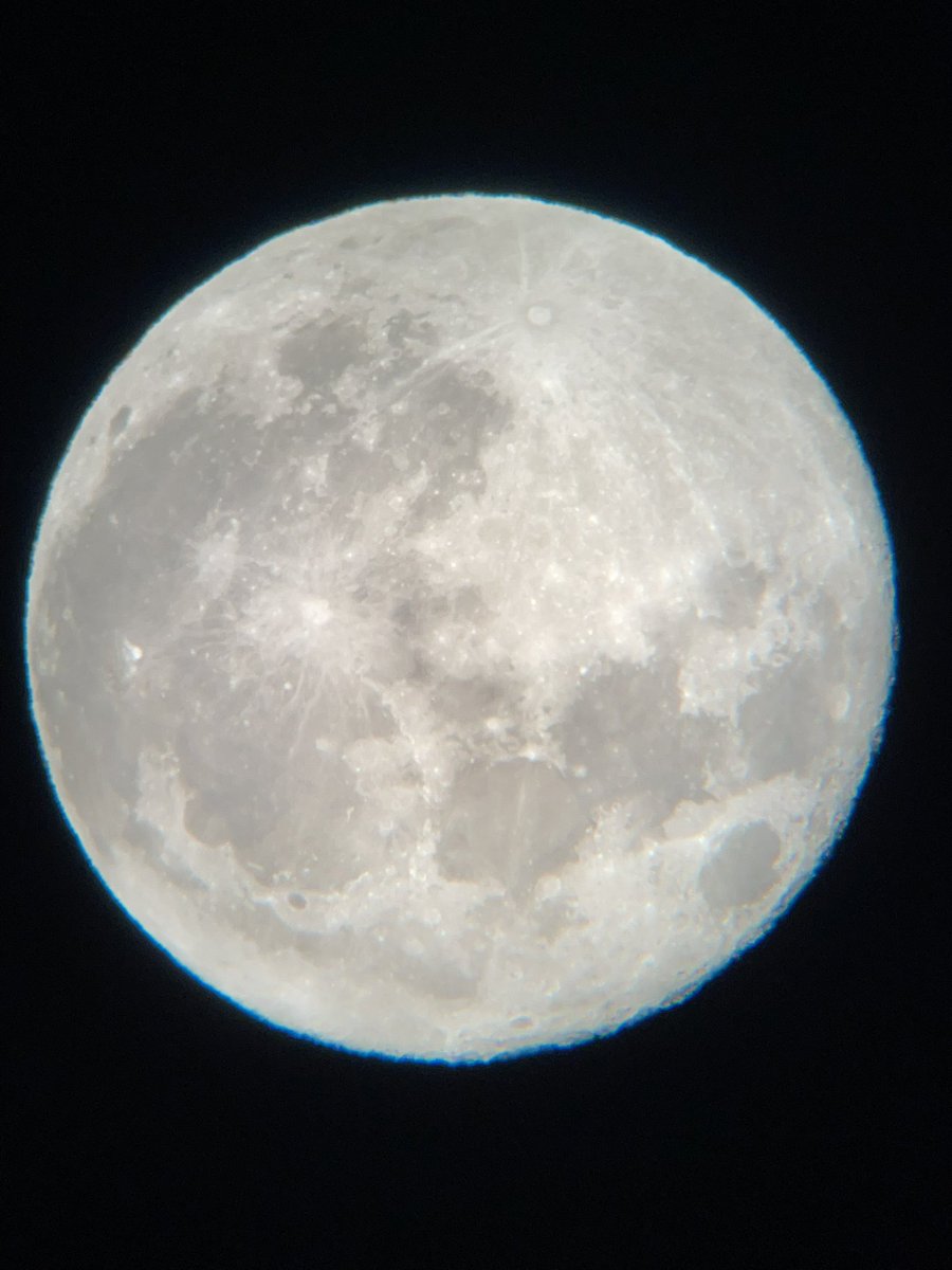 MOON LOVER tweet media