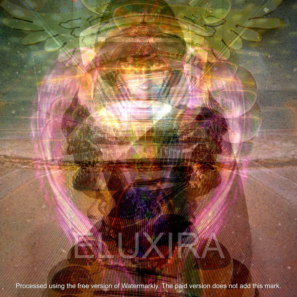 ELUXIRA NEO tweet media