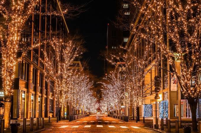teiji_oriental's tweet photo. 【保存版】クリスマス楽しみすぎて2025年都内イルミネーションまとめた🎄🤍
・表参道（12/2〜）
・目黒川（11/15〜）
・丸の内仲通り（11/14〜）
・ドームシティ（11/18〜）
・六本木けやき坂（11/4〜） 
・代々木公園並木（12/6〜）
・よみうりランド（10/23〜） 
・恵比寿ガーデンプレイス（11/9〜） https://t.co/VswymZ6X4M