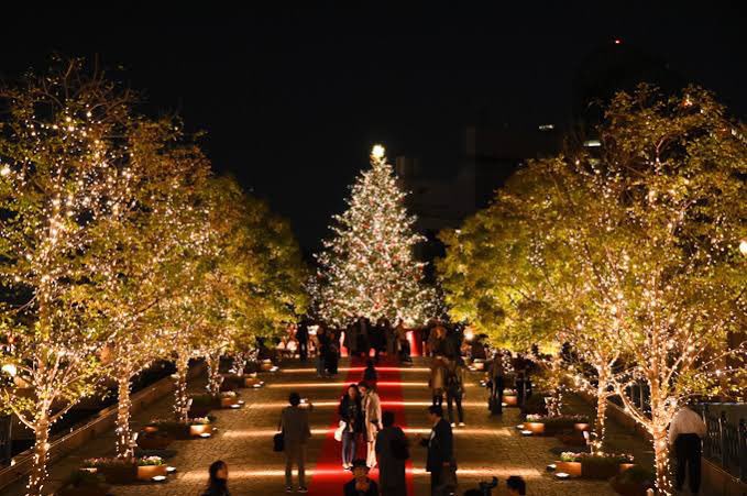 teiji_oriental's tweet photo. 【保存版】クリスマス楽しみすぎて2025年都内イルミネーションまとめた🎄🤍
・表参道（12/2〜）
・目黒川（11/15〜）
・丸の内仲通り（11/14〜）
・ドームシティ（11/18〜）
・六本木けやき坂（11/4〜） 
・代々木公園並木（12/6〜）
・よみうりランド（10/23〜） 
・恵比寿ガーデンプレイス（11/9〜） https://t.co/VswymZ6X4M