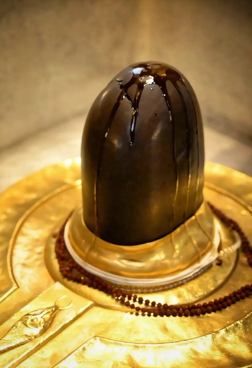 Its_Me_Jasraj's tweet image. When Baba Kashi Vishwanath decides to bless you, even destiny surrenders. 🙏🏻🔱