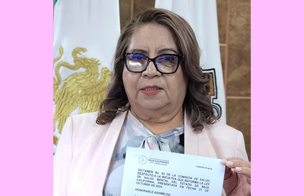 ConexionMxli's tweet image. #CongresoBC PRESENTA DIPUTADA GLORIA MIRAMONTES REFORMA A LEY DEL MURO DE HONOR / Tiene como objeto garantizar un reconocimiento inclusivo y plural de las mujeres destacadas en Baja California /+acortar.link/CsJwl8

#noticiasconexión