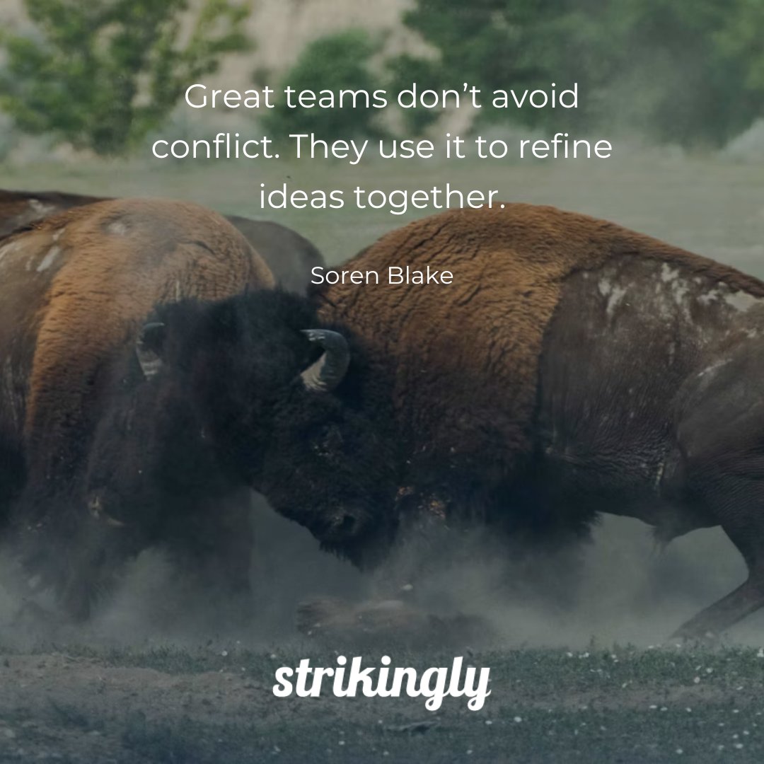 Great teams don’t avoid conflict. They use it to refine ideas together. — Soren Blake #inspirationalquotes #startupquotes #Strikingly