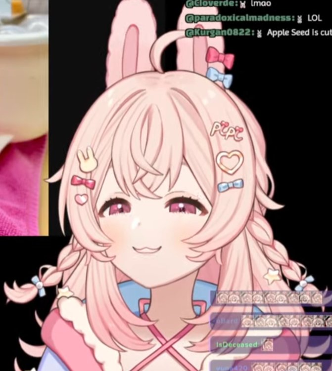 Dogbutme's tweet image. This tyrannical vtuber is REFUSING to name her new bunny Sheet Metal please spread the word of Pipkin Pippa&apos;s disgusting behavior #Capippalist