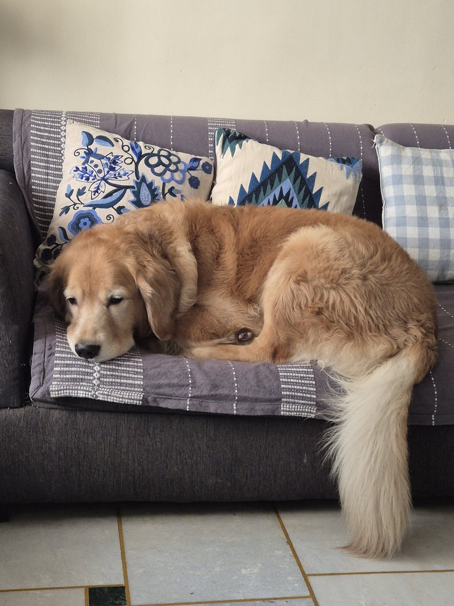 Probasibangali's tweet image. Bohut he tandh hai