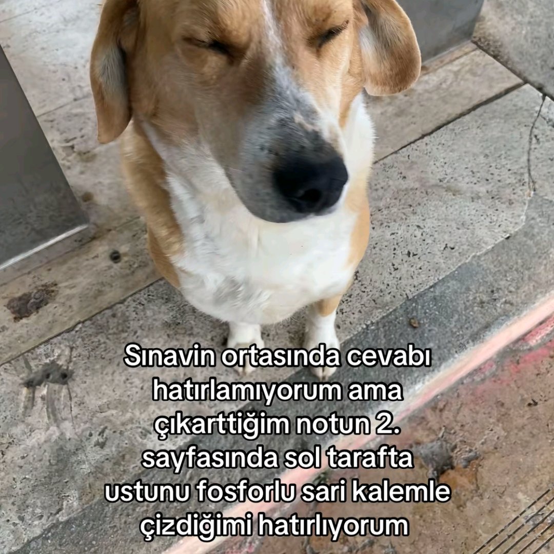 ANLIK (@anlikmod) on Twitter photo 