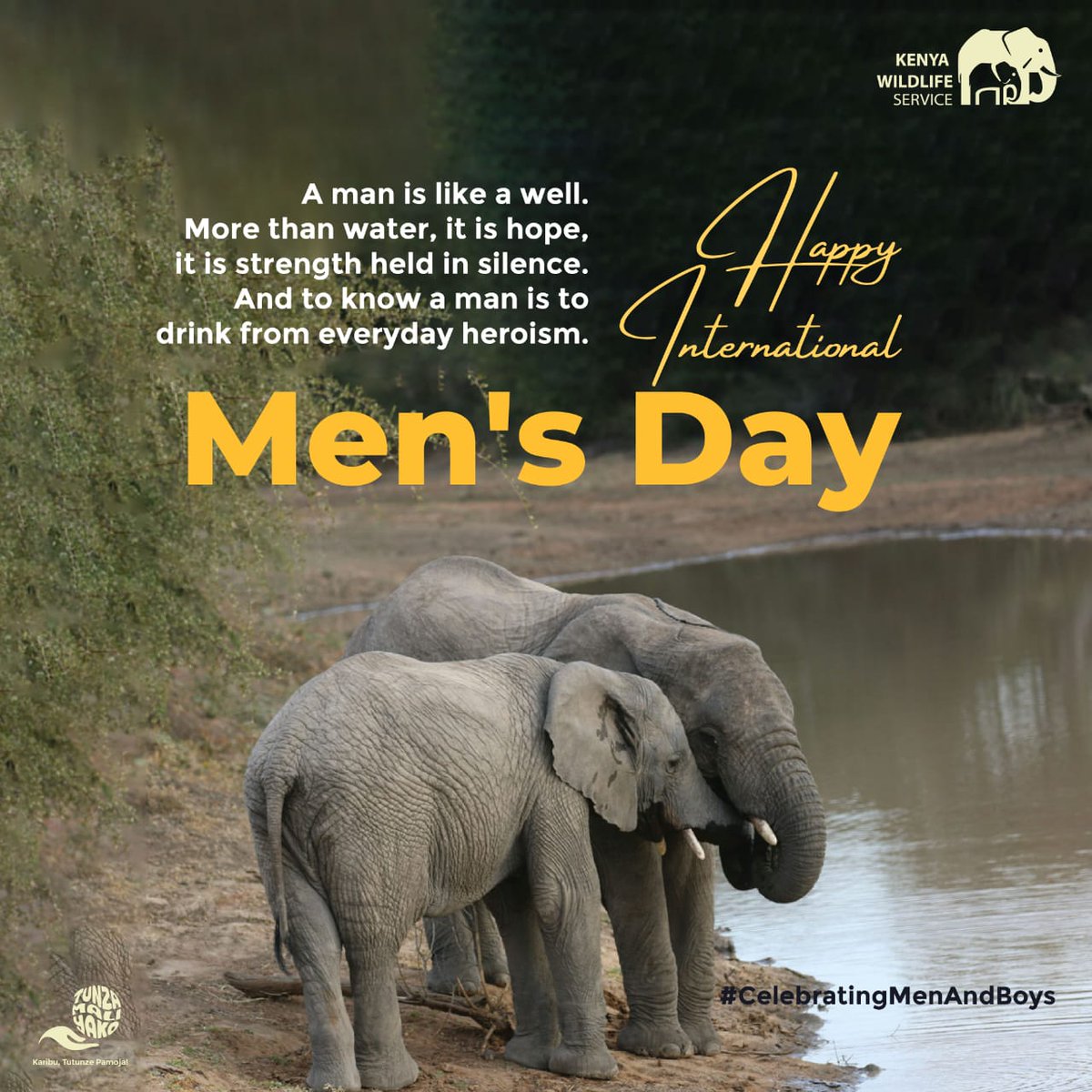 MarsabitNPark's tweet photo. Celebrating the strength, leadership, and resilience of men everywhere. Happy #InternationalMensDay https://t.co/V8QeZuyOlT