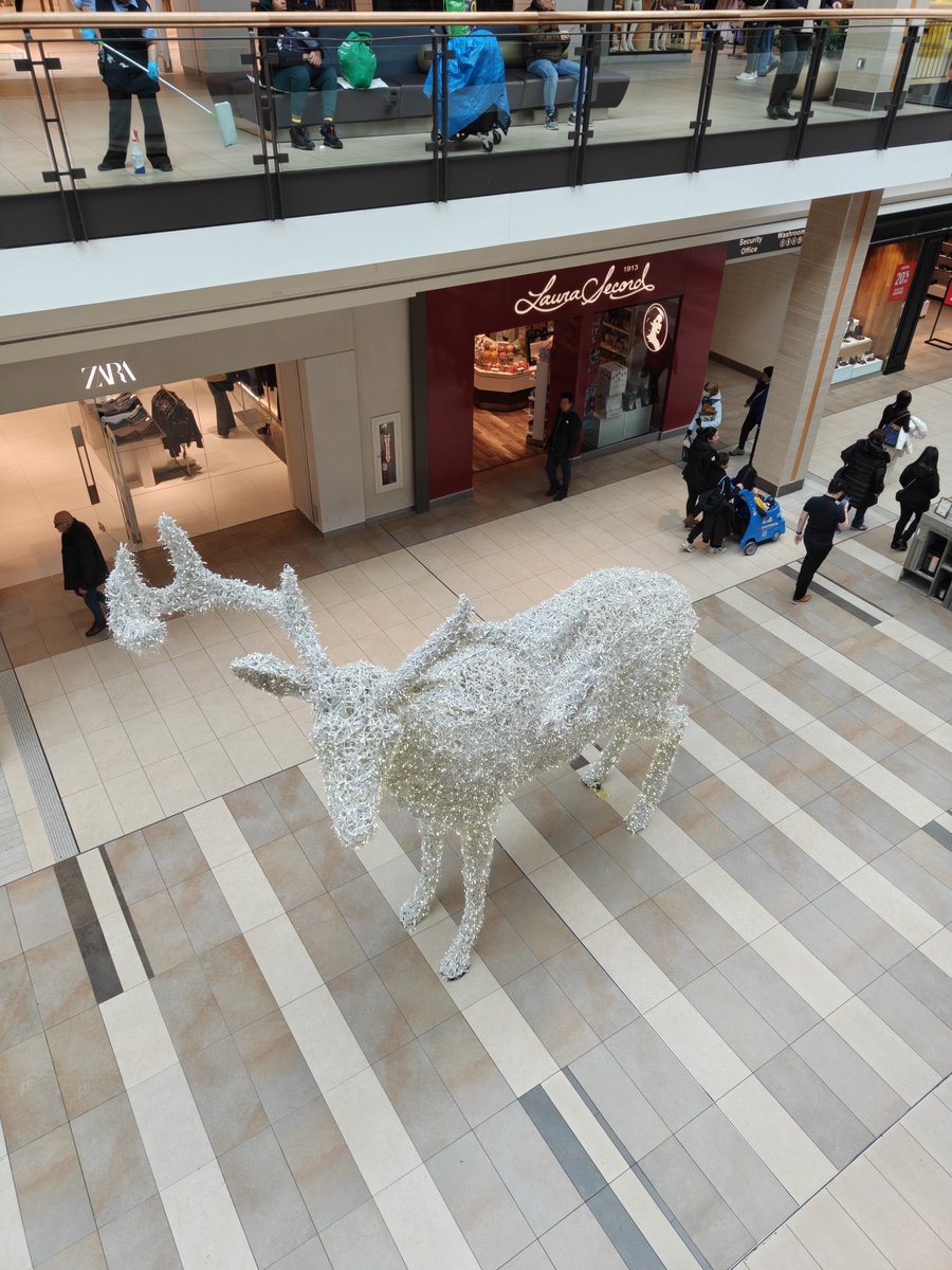 RjeyTech's tweet image. I don&apos;t get the people saying the OnePlus 15 has bad cameras.

This is pretty damn good.