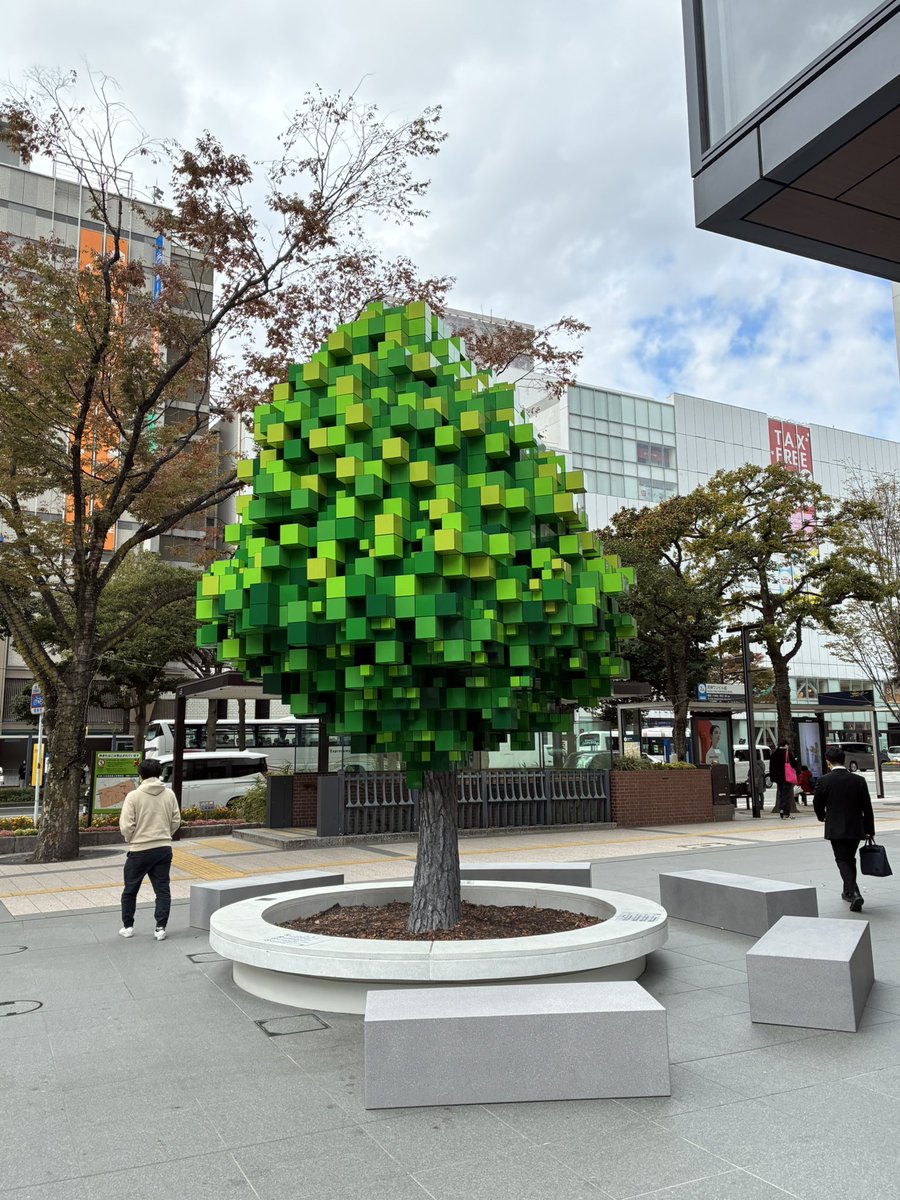 ITgame_engineer's tweet image. 福岡天神には...
マインクラフトに出てくるよーな

&quot;     木　&quot;がある

気になる気になる木ー！
名前も知らない木になるでしょお