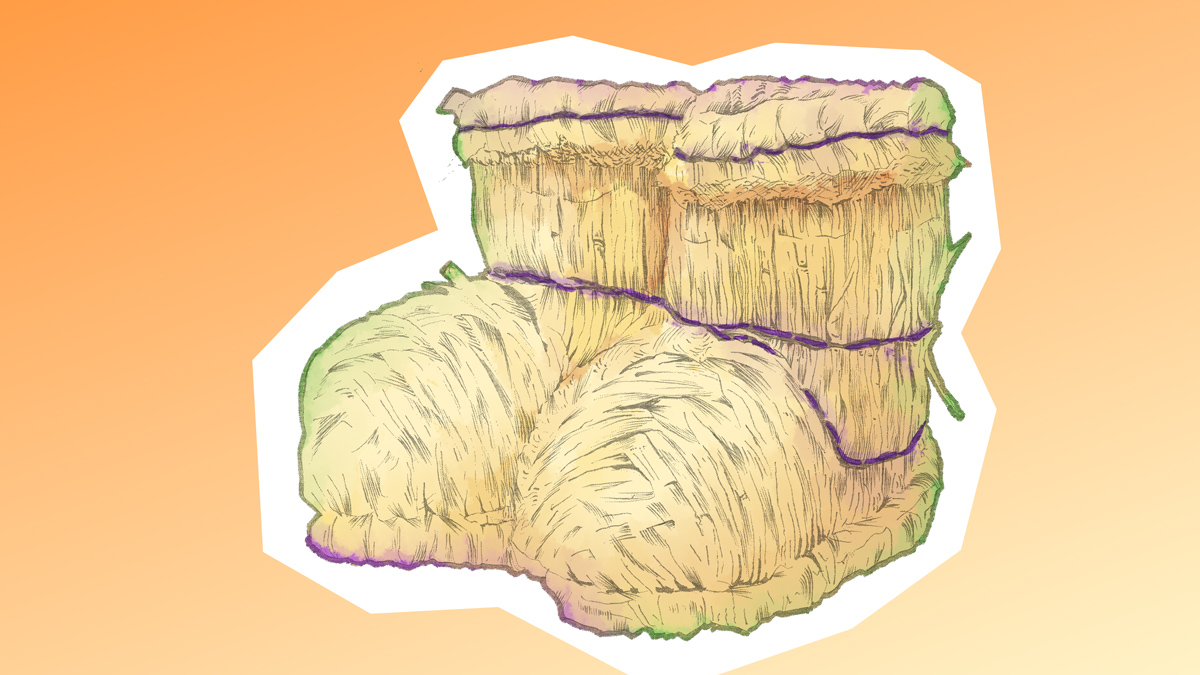 11月22日は #大工さんの日 小5国語教科書の「わらぐつの中の神様