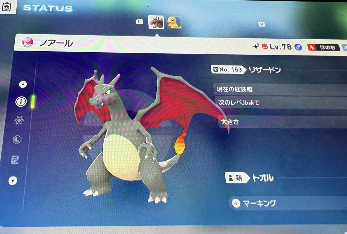 torupoke's tweet photo. 2体目のオヤブン色ヒトカゲゲット！！
2体は粘ろうってずっと思ってたし嬉しい😭
最初の子はリザx用でラブボで捕まえたから
この子はリザy用でムンボ で捕まえました✨
めっちゃ嬉しい😭
リザードンめっちゃくちゃかっこいい！！
#レジェンズＺＡ
#色違い
#オヤブン https://t.co/T2qnslgBeW
