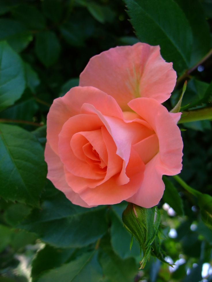 e1iasa1exander's tweet image. Happy Wednesday #HappyWednesday