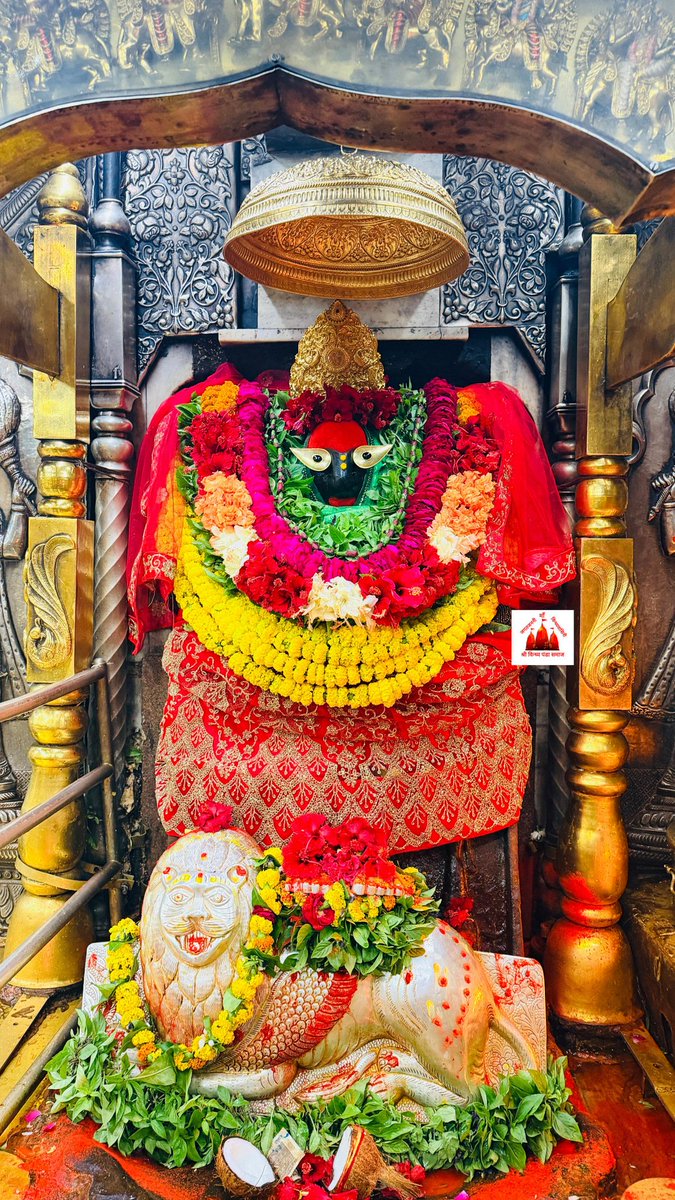 VindhyachalDha1's tweet image. आज दिनांक 19/11/2025 बुधवार के दिन करिये माँ के मंगला आरती का दिव्य दर्शन
पाप पयोनिधि तन मन मोरा
केहीं विधि करूँ अराधना तोरा🙏
जय माँ विंध्यवासिनी

सेवक अटल त्रिपाठी 
06386046245