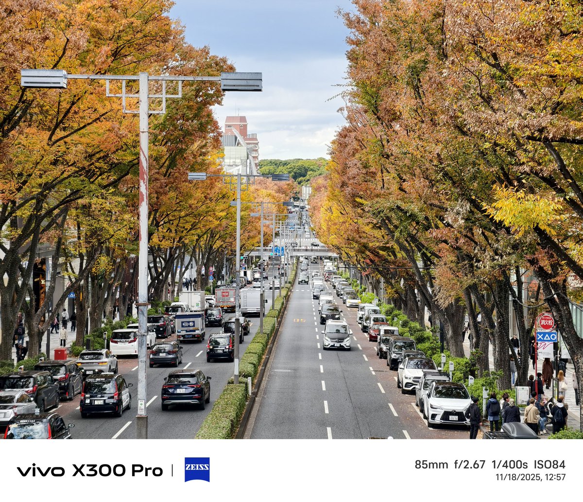 papayatop's tweet image. ช่วงนี้โตเกียวไวบ์ดีมาก เย็นสบาย ใบไม้แดงเหลืองมาเยอะพอตัว พอค่าเงินอ่อน ของกินของใช้ ซื้อตุนได้เลย เห็นว่าแบรนด์เนมก็ถูกมาก  

ส่วน gadget, device ญี่ปุ่นขายแพงครับ รอไปถลุงทริปจีนดีกว่า 

รอบนี้พา สว. มาด้วยเลยไม่ได้เที่ยวแบบดุดันมาก แต่ดีกว่ามาทัวร์แน่นอน ตามใจปาก…